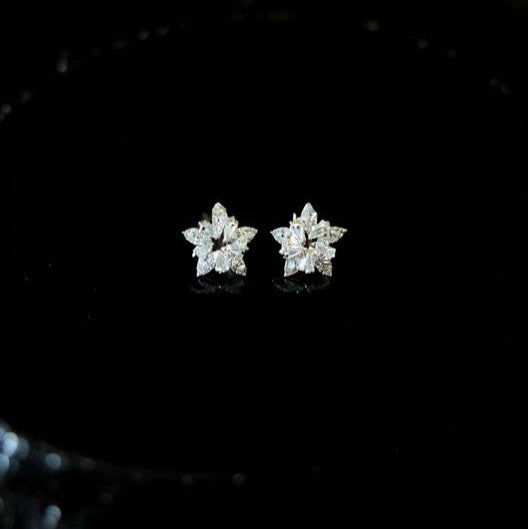 star stone earrings