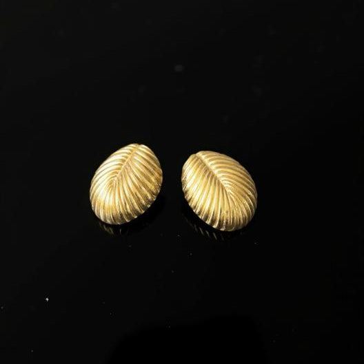 shell earrings